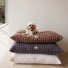 Kyoto Dog Cushion - Small