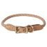 Perry Dog Collar - Extra Large